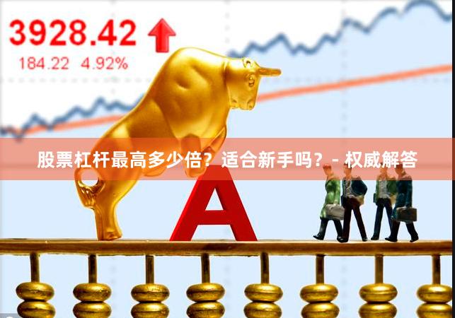 股票杠杆最高多少倍？适合新手吗？- 权威解答