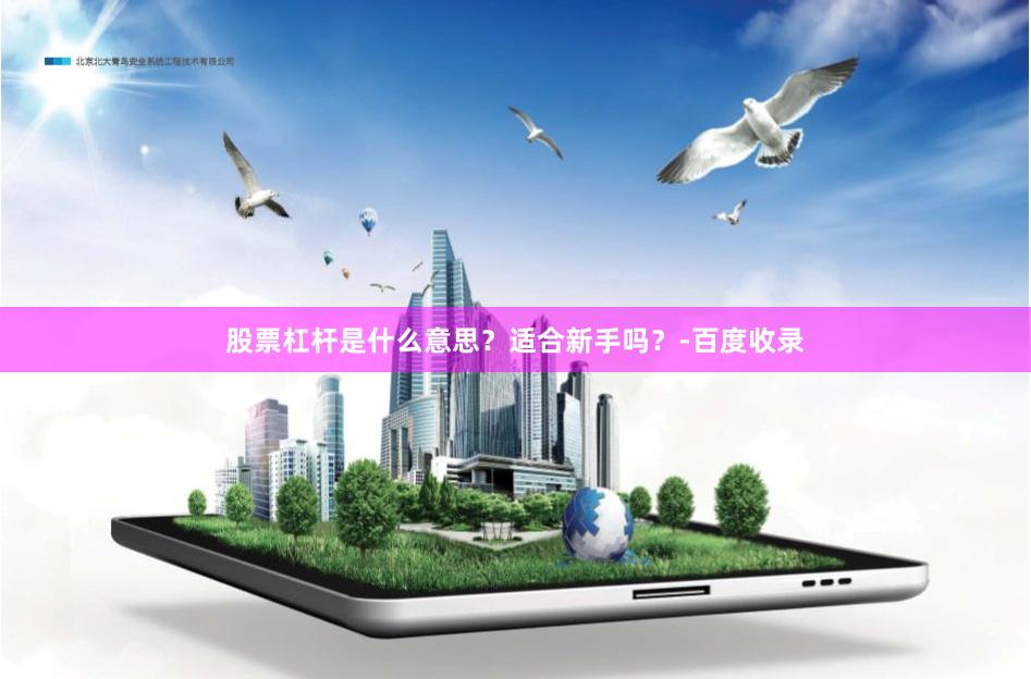 股票杠杆是什么意思？适合新手吗？-百度收录